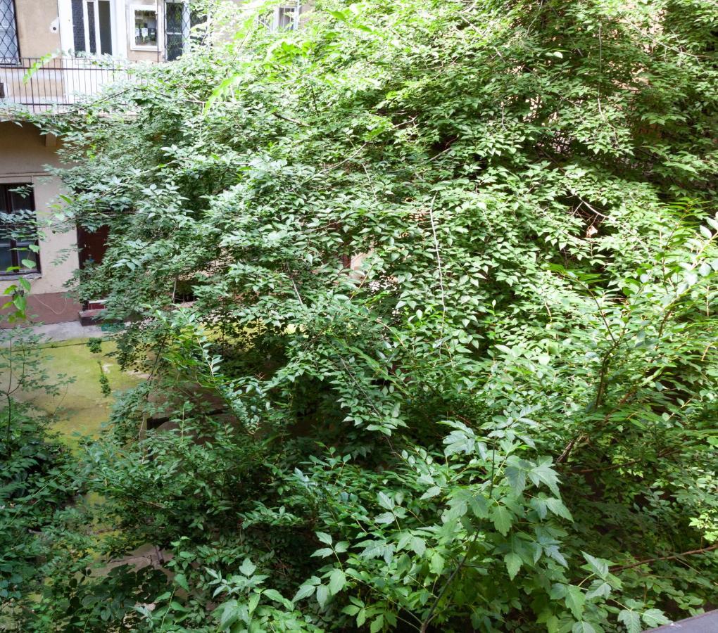 Happy Turtle Apartments Budapeşte Dış mekan fotoğraf